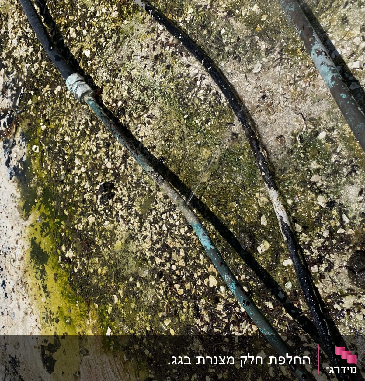 צינורות מים עם חיבורים על קרקע לחה